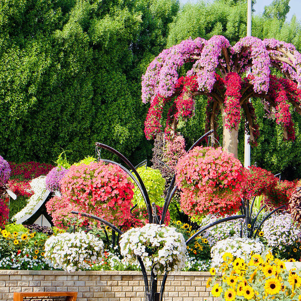 Park flowers