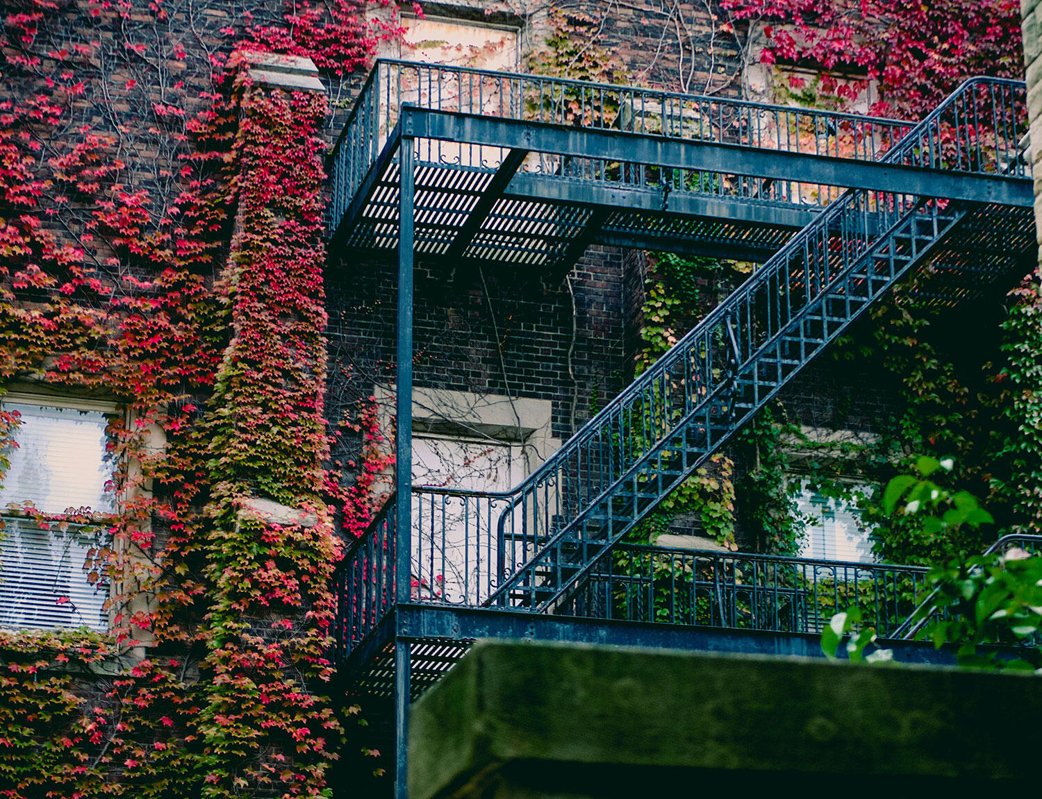 Climbers on building