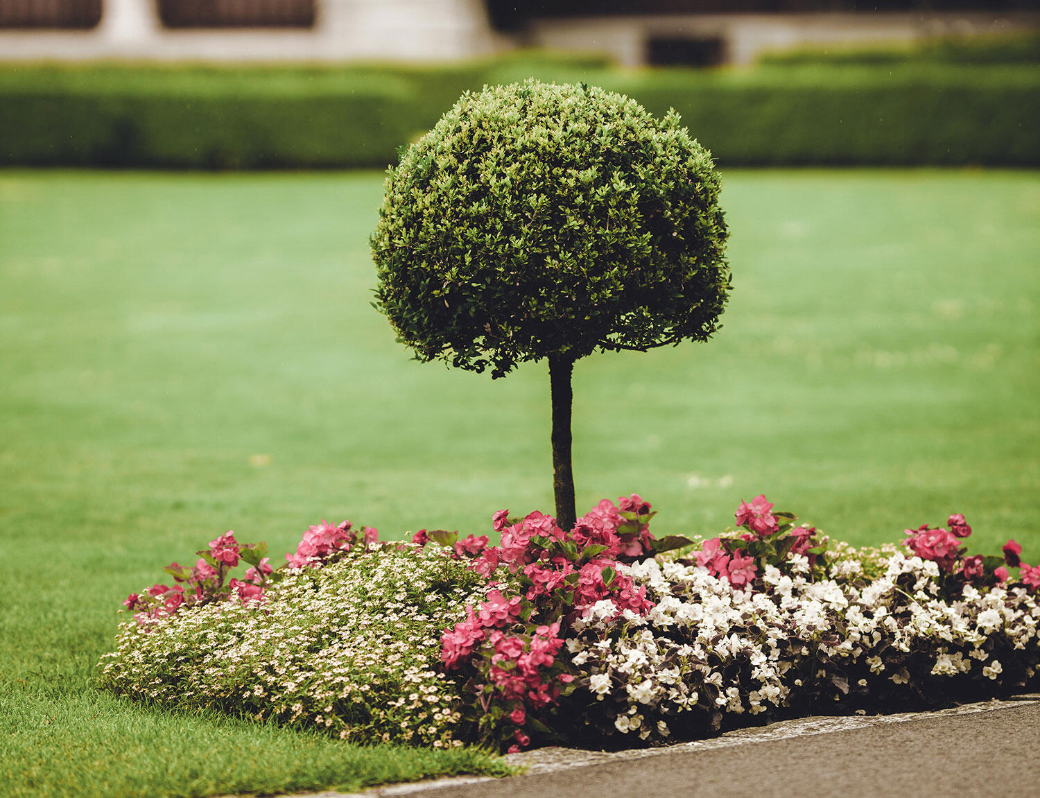 Lawn border